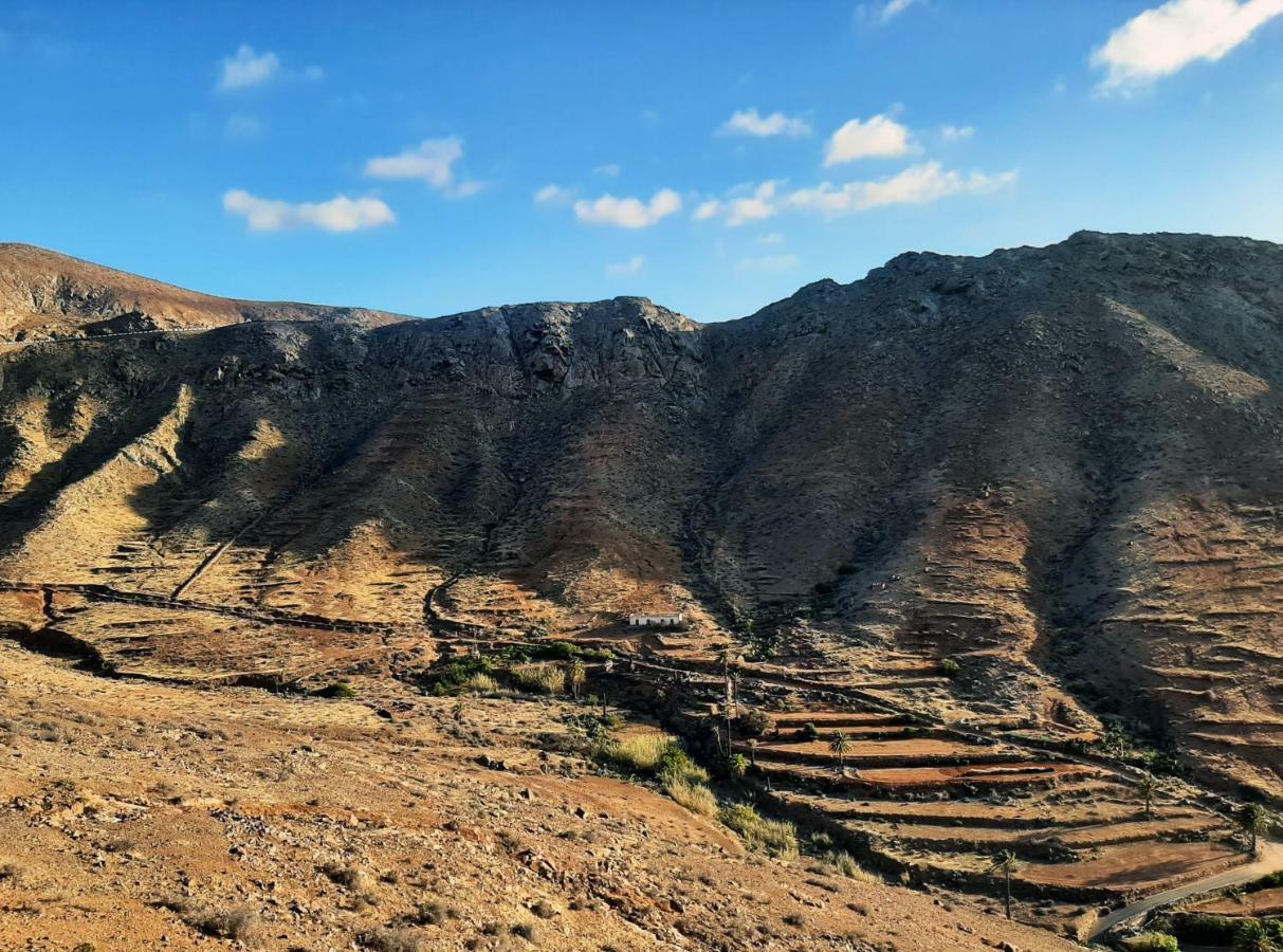 Casa Cactus Daire Pájara Dış mekan fotoğraf