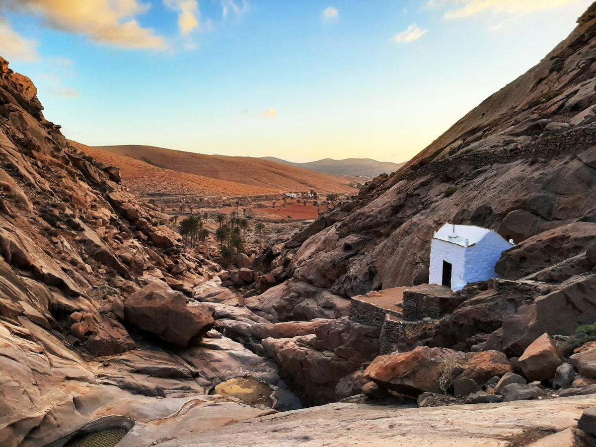 Casa Cactus Daire Pájara Dış mekan fotoğraf