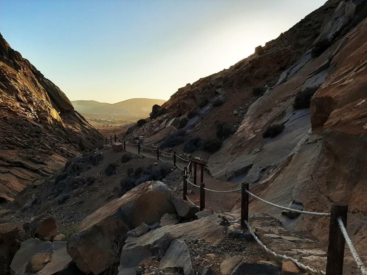 Casa Cactus Daire Pájara Dış mekan fotoğraf
