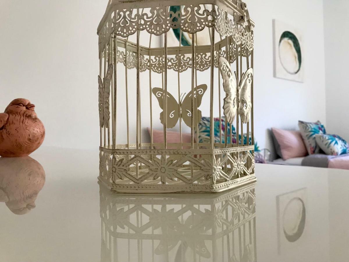Casa Cactus Daire Pájara Dış mekan fotoğraf